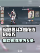 暗影格斗3樱花连招有哪些介绍