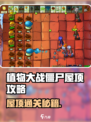 《植物大战僵尸杂交版》屋顶通关🔥攻略来啦！🎮💥