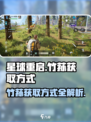 星球重启竹荪怎么获得介绍
