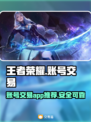 王者荣耀账号交易🔥选对平台少走弯路！