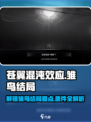 苍翼混沌效应雏鸟结局要点介绍