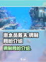潜水员戴夫钢制网枪是什么介绍