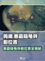 鸣潮🔥寒霜陆龟异相位置全揭秘！🎮快来看✔