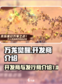 万龙觉醒开发商是谁介绍