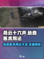 燕云十六声悬壶医术怎么用介绍