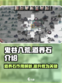 鬼谷八荒道界石是什么介绍