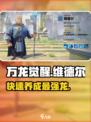 万龙觉醒维德尔怎么练介绍