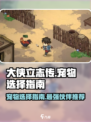 大侠立志传哪个宠物好介绍
