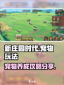 新庄园时代宠物玩法分享介绍