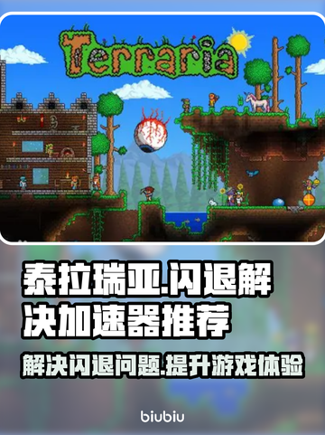 泰拉瑞亚闪退？用这个加速器🔥立马解决！截图1