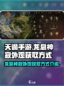龙息神寂外观怎么获得介绍