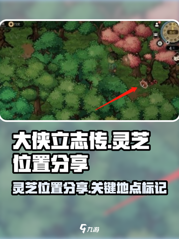 大侠立志传灵芝在哪介绍截图1