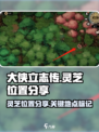 大侠立志传灵芝在哪介绍