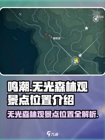 鸣潮📖无光森林观景点🔥超详细位置介绍！📍截图1