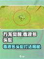 万龙觉醒🔥毒液多头蛇打法攻略Snake
