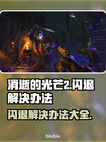消逝的光芒2闪退？❌教你一招搞定💡截图1