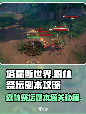 塔瑞斯世界🔥森林祭坛副本Boss开荒全流程攻略！💡截图1