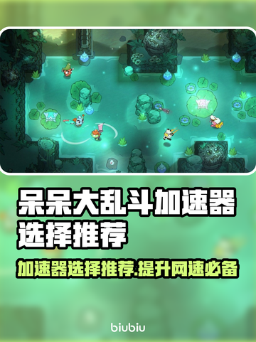 呆呆大乱斗⚡加速器选择推荐，玩游戏必备！🎮截图1