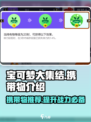 宝可梦大集结🔥必胜携带物推荐💡