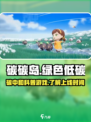 碳碳岛什么时候上线介绍