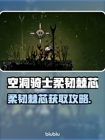 🎮空洞骑士丝之歌柔韧棘芯获取攻略！截图1