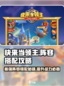 快来当领主攻略阵容搭配介绍