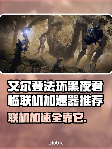 艾尔登法环黑夜君临🔥联机加速器推荐🚀超低延迟！截图1