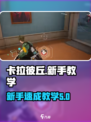 卡拉彼丘保姆教学介绍