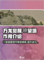 万龙觉醒🔥瞭望塔竟是逆天外挂？游戏中期必备！