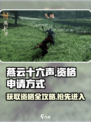 燕云十六声🎉资格获取全攻略，轻松申请速来！