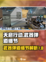 天启行动武器弹道细节介绍