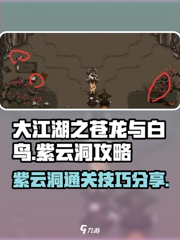 大江湖之苍龙与白鸟🔥紫云洞通关秘籍💡截图1