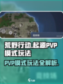 荒野起源PVP模式有哪些介绍