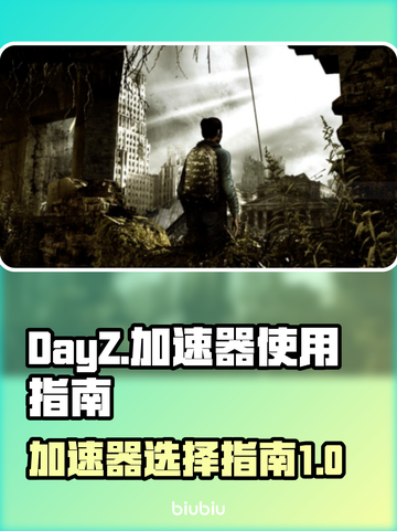 DayZ加速器推荐🔥让你畅玩无忧！👇截图1