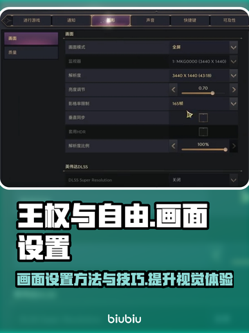 王权与自由🔥画面设置攻略，画质党必看！截图1