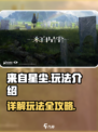 来自星尘详解介绍