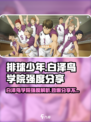 排球少年手游白泽鸟学院怎么样介绍