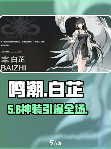 🔥鸣潮白芷声骸神装推荐💥截图1