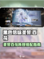 黑色信标圣誓百花是什么介绍