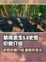 《禁闭求生》史低价格🔥超值入手攻略🎮