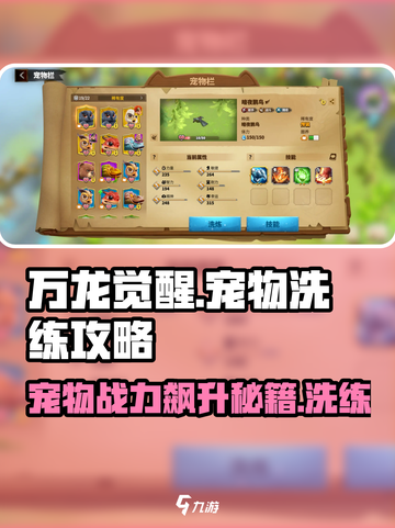 万龙觉醒宠物洗练攻略介绍截图1