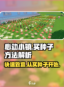 心动小镇🔥超全买种子攻略来袭！快入手游戏必备🌱