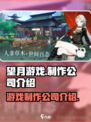 望月游戏是哪家的介绍