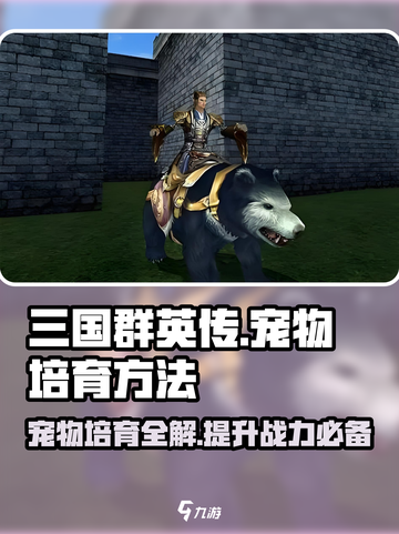 三国群英传宠物培育全解🔥助你称霸国战版！截图1