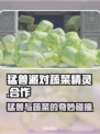 猛兽派对蔬菜精灵合作🔥玩法揭秘🎮