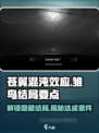 苍翼混沌效应🔥雏鸟结局达成条件全揭秘🎉