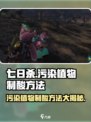 七日世界污染植物制酸方法有哪些介绍
