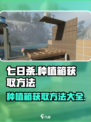 《七日世界》种植箱获取攻略💎