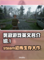 死寂游戏英文名🔥Steam上叫啥快来看看🎮
