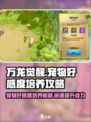 万龙觉醒🔥宠物好感度培养攻略来啦！